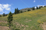 a0048361_12203358.jpg