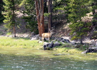 a0048361_1221640.jpg