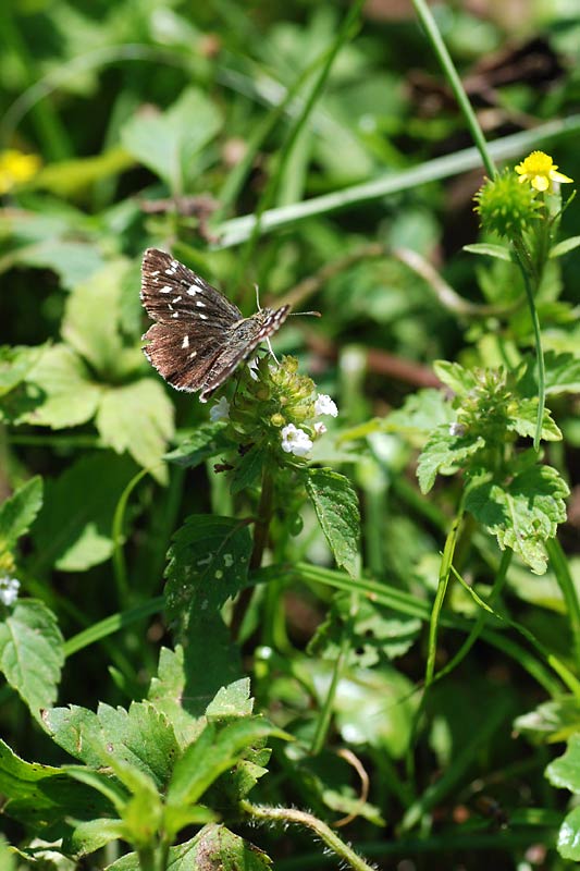 c0043361_2215456.jpg