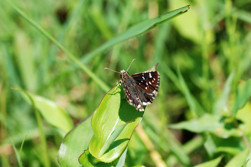 c0043361_22223879.jpg