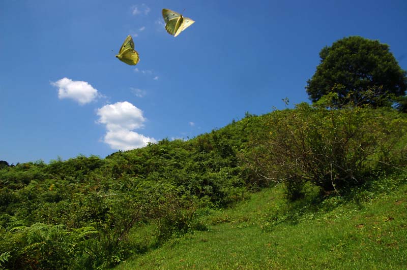 c0043361_22321977.jpg