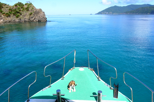 b0062363_20331688.jpg