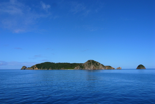 b0062363_20333746.jpg