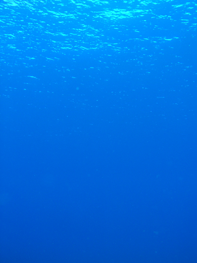 b0062363_2036378.jpg
