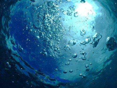 d0102664_2315478.jpg