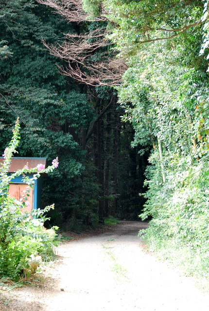 b0174068_23422712.jpg