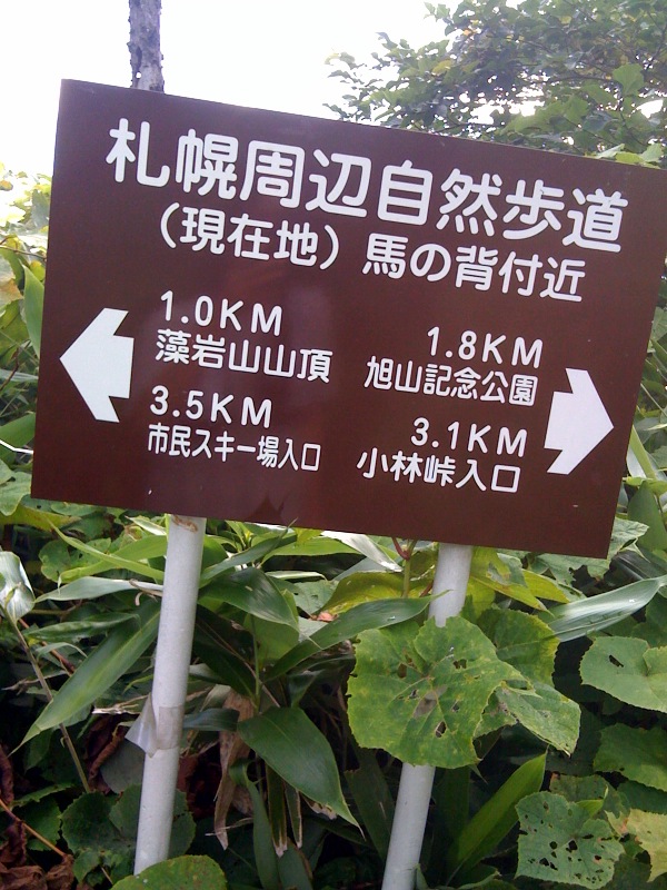 c0135770_19514765.jpg