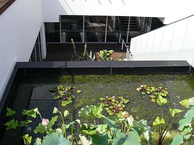 e0143671_16261529.jpg