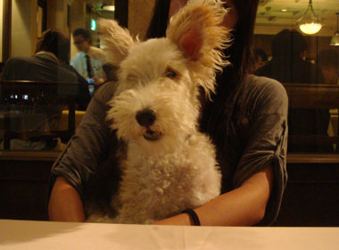 b0091373_433419.jpg