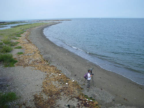 c0002874_947351.jpg