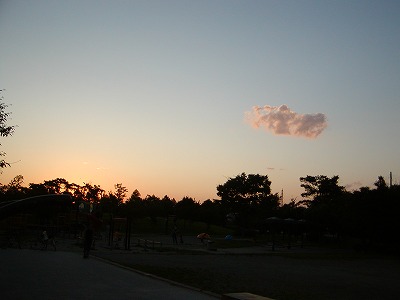 c0131478_20502946.jpg