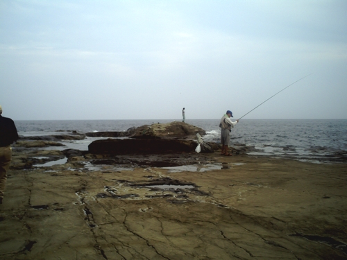 b0168081_0125471.jpg