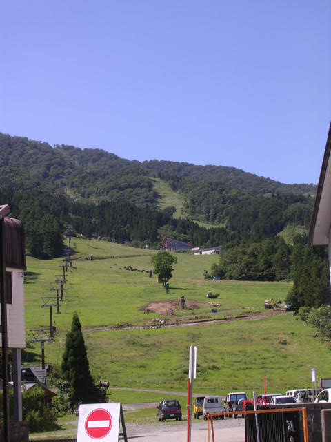 d0142182_1123423.jpg