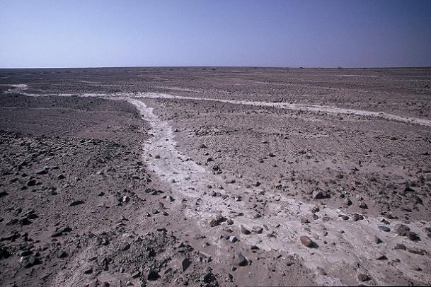 e0195582_11222068.jpg