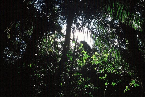 e0195582_11491446.jpg