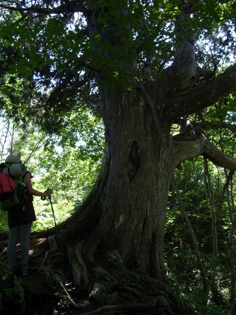 e0129083_2082333.jpg