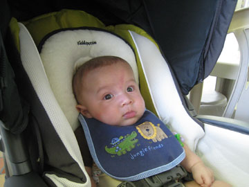 f0068883_1541495.jpg