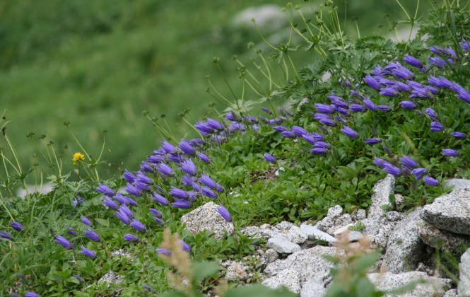 c0144185_21451778.jpg
