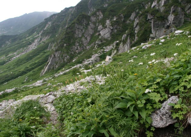 c0144185_21553055.jpg