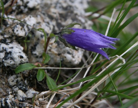 c0144185_2210390.jpg