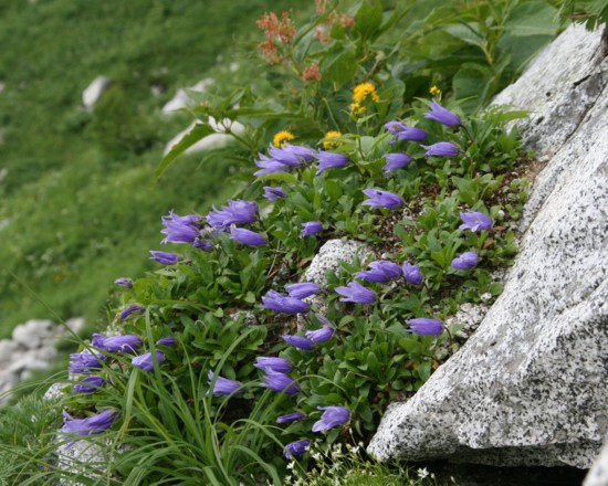 c0144185_22115318.jpg