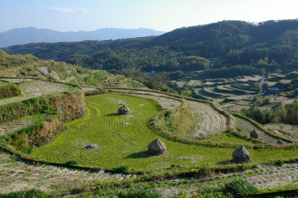 e0051186_18814.jpg