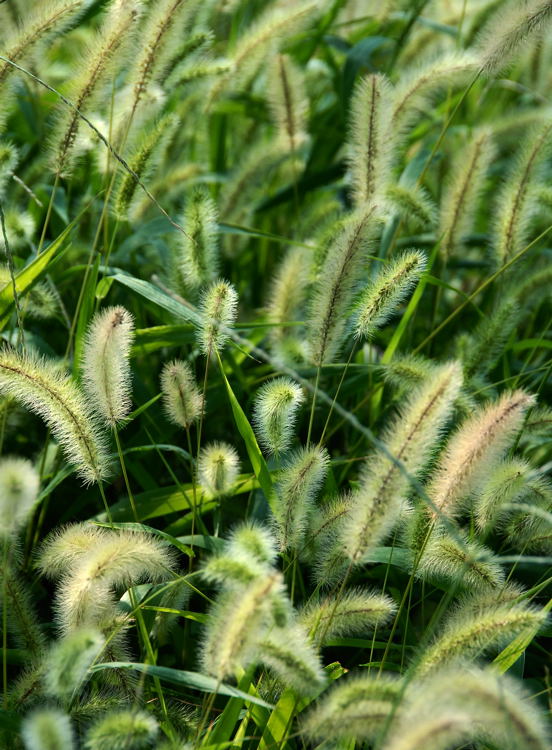 e0169286_17313391.jpg