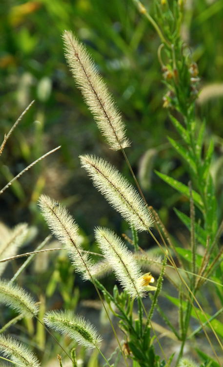 e0169286_17333078.jpg