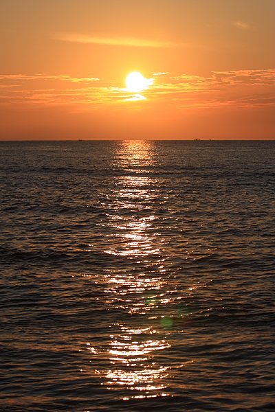 e0051888_4592850.jpg