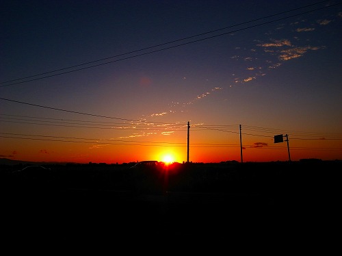 a0003089_965125.jpg