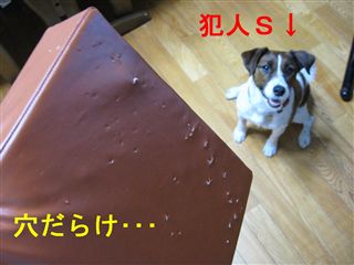 e0121589_2249963.jpg