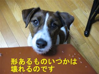 e0121589_22565682.jpg