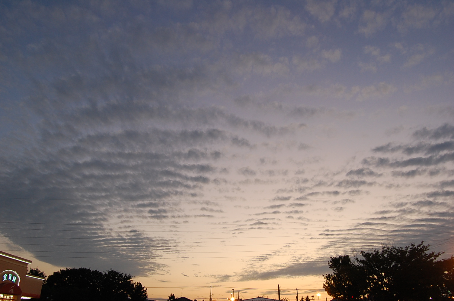e0086292_9394055.jpg