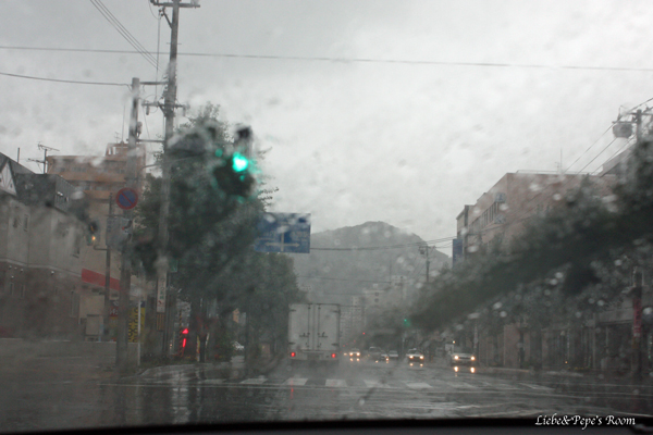 f0001895_10232093.jpg