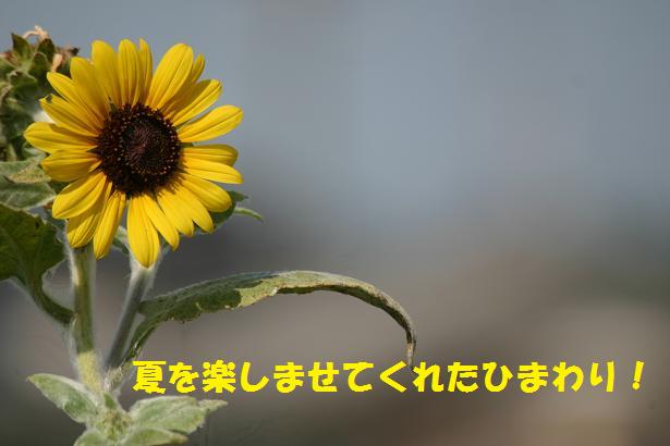 a0037298_2211899.jpg