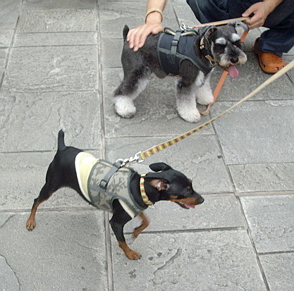 c0138198_2022811.jpg