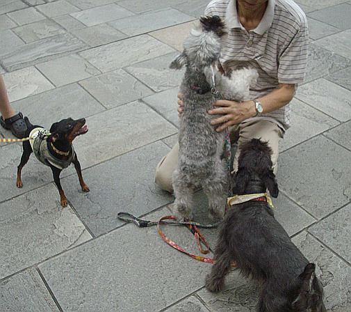 c0138198_2024313.jpg