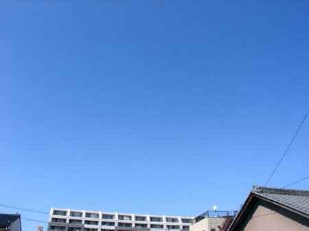 a0031000_2124364.jpg