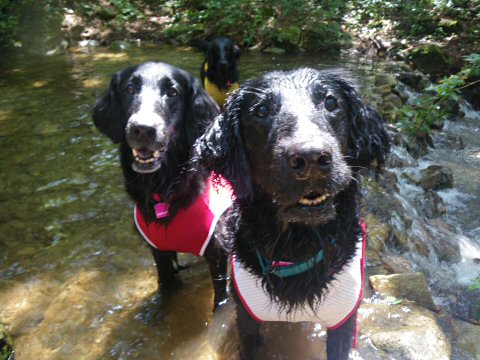 c0050400_18264310.jpg