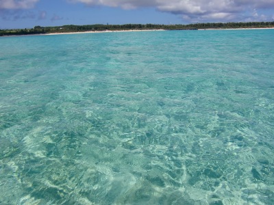 d0141800_23565715.jpg