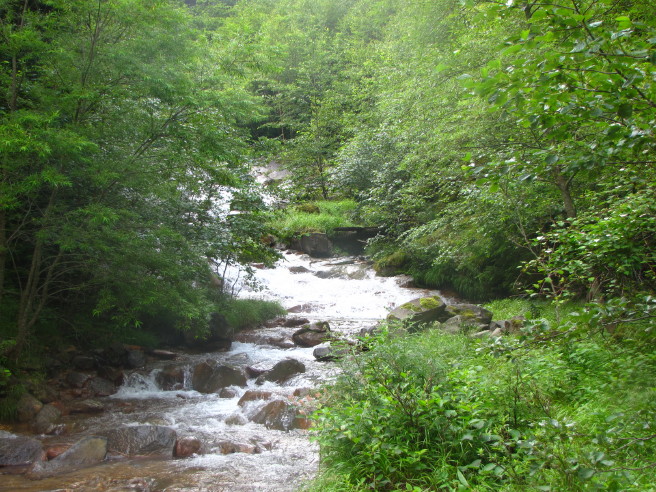 b0116703_704972.jpg
