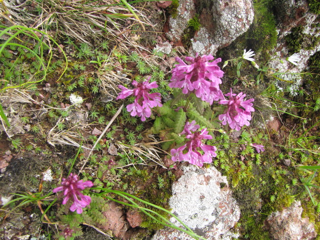 b0116703_7105326.jpg