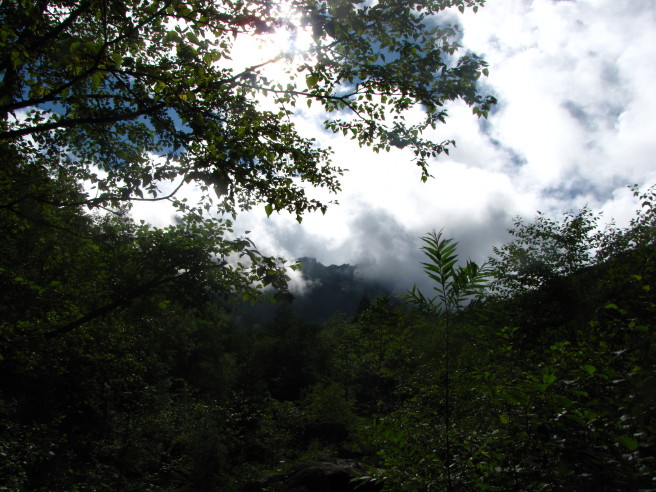 b0116703_715398.jpg