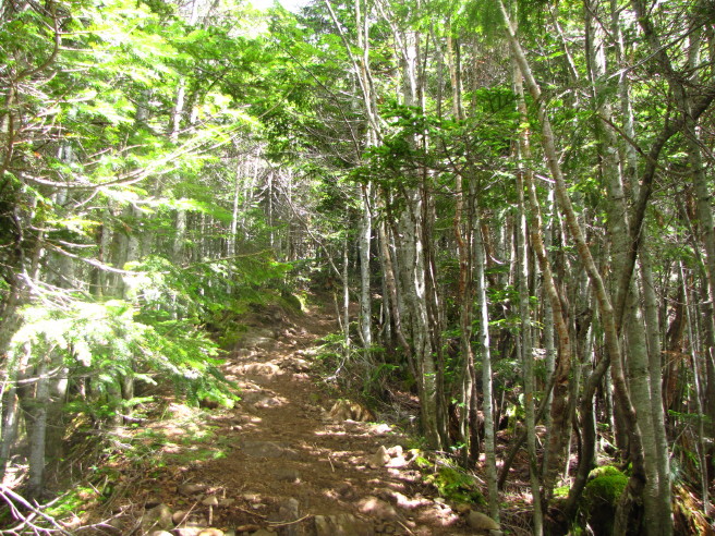 b0116703_724817.jpg