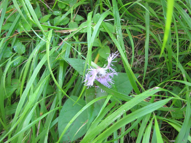 b0116703_7294498.jpg