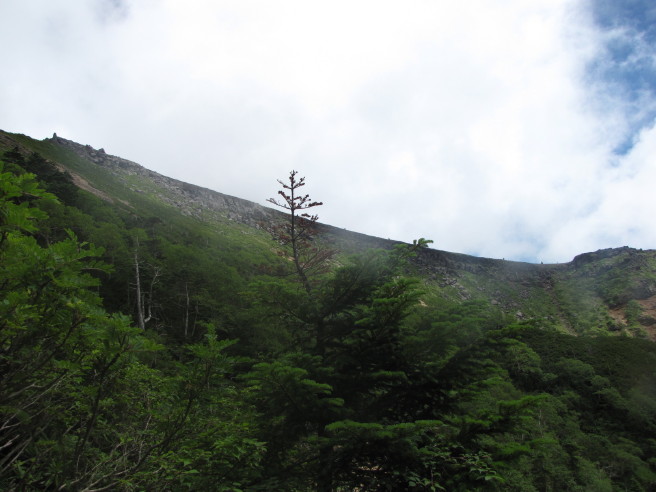 b0116703_732016.jpg