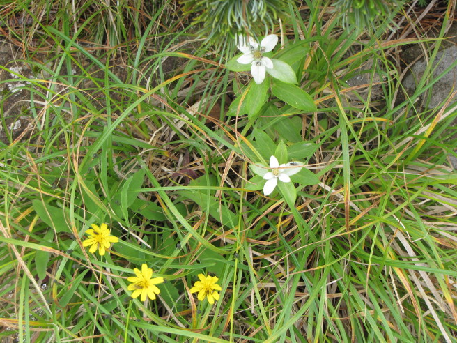 b0116703_793985.jpg