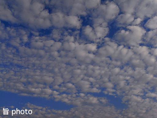 b0061004_1652552.jpg