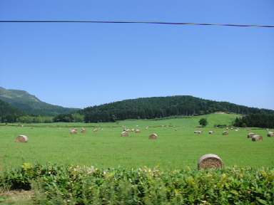 f0138304_19513226.jpg
