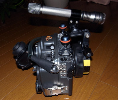 b0110406_2234464.jpg
